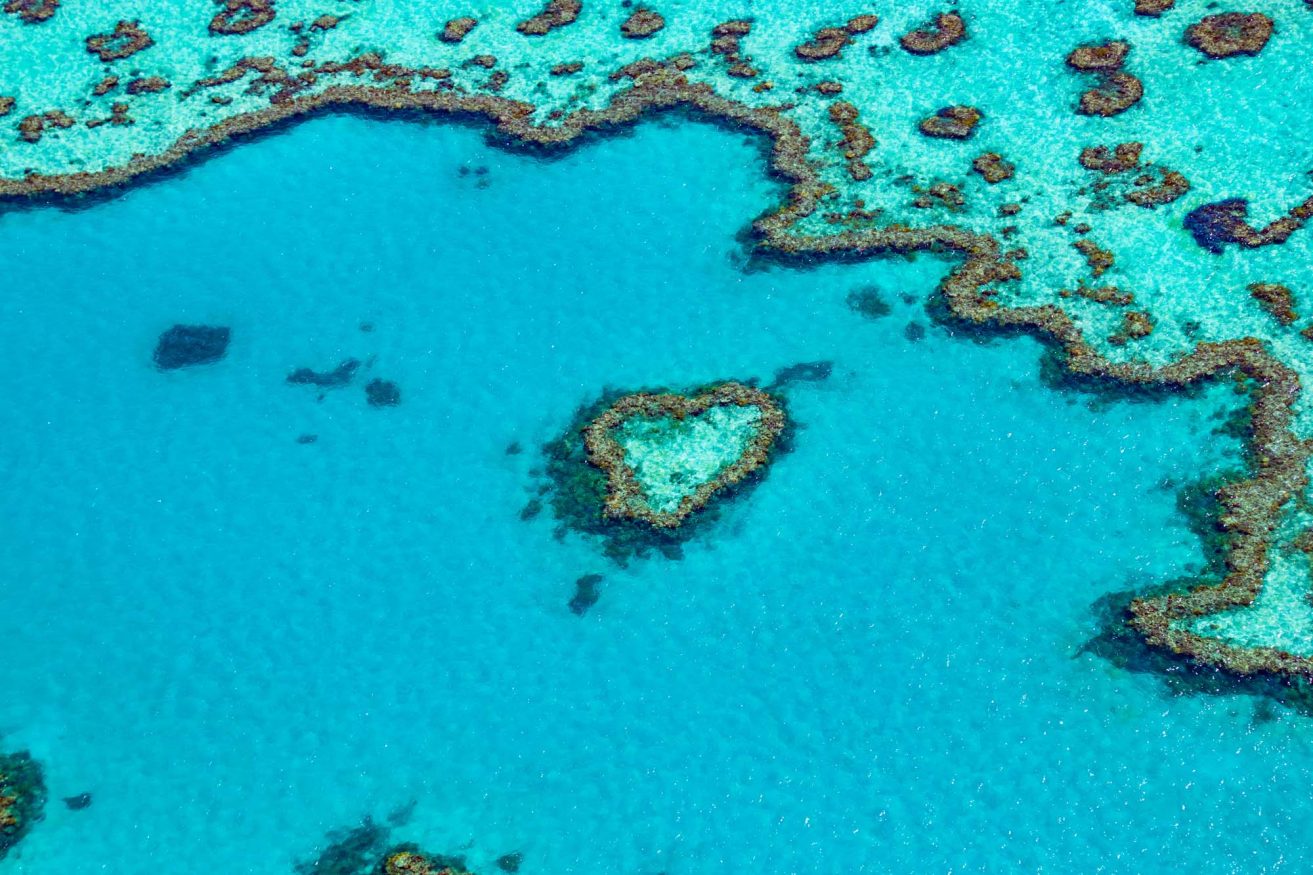 Backpacking Australia @exploreshaw reef